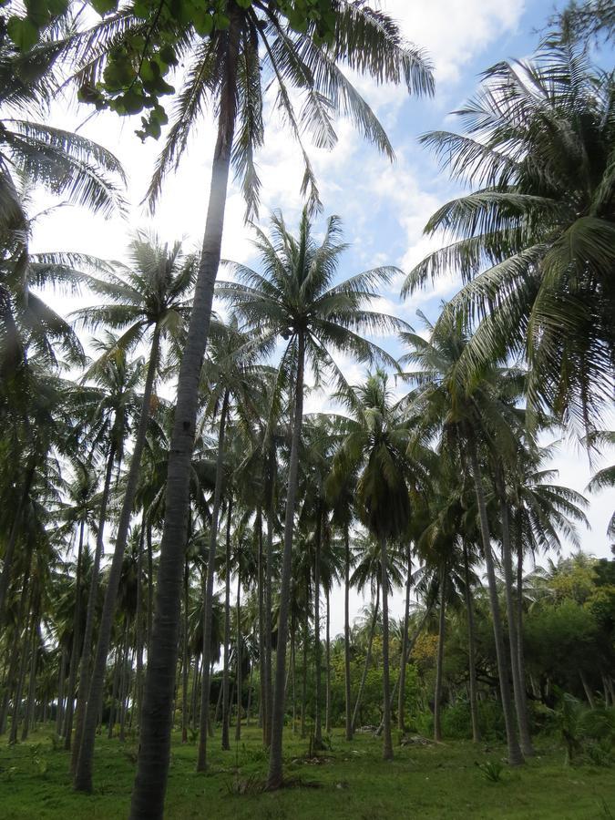 Smera Grand Maamigili Island Exterior photo